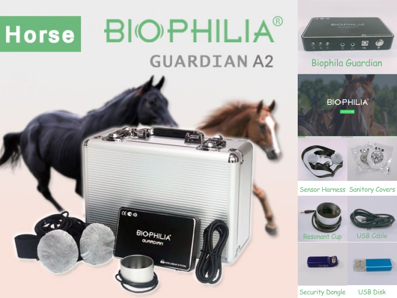 Guardian Horse